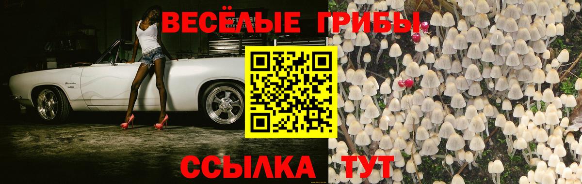 Псилоцибиновые грибы Cubensis  Вход с VPN  Псилоцибиновые грибы ЛСД  Ступино 