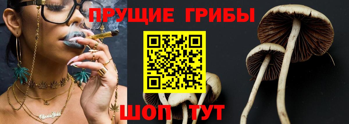 Псилоцибиновые грибы GOLDEN TEACHER Ступино